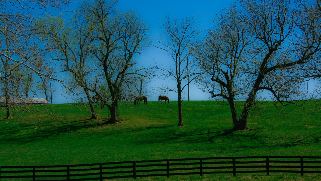 Granja de caballos en Lexington (región del Bluegrass) (Kentucky)